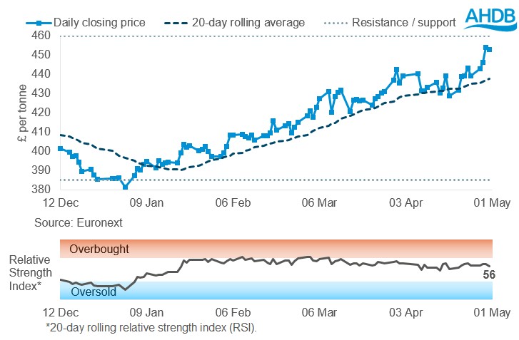 Line graph of Rapeseed futures Nov-26 contract prices over the past six months.
